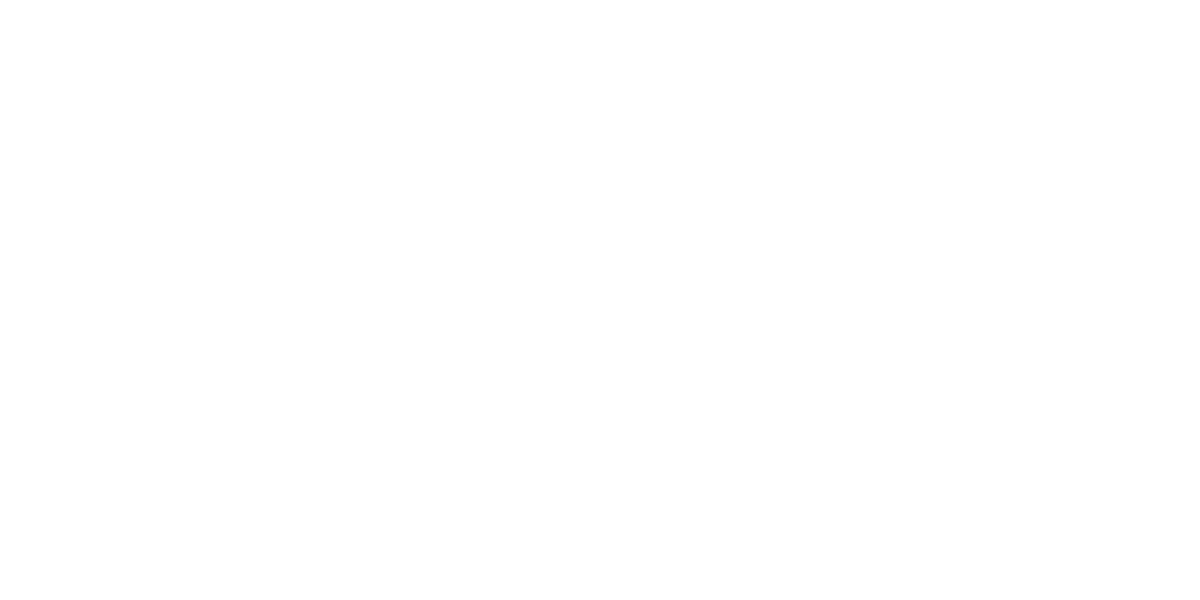 NetApp logo